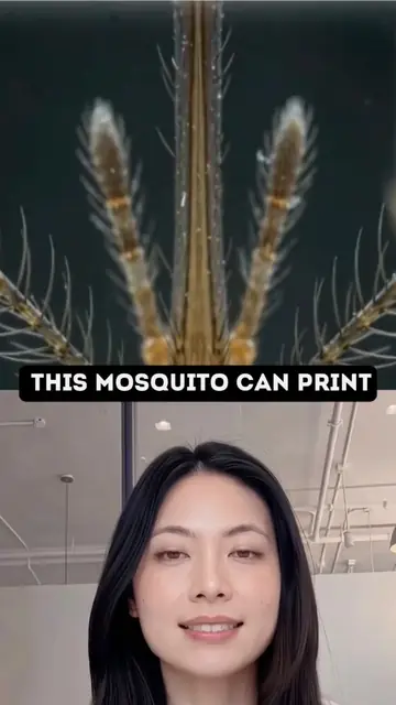 McGill University scientists transformed a mosquito’s proboscis into one of the 