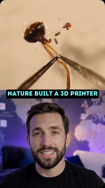 Scientists at McGill University turned a mosquito’s proboscis into one of the sm